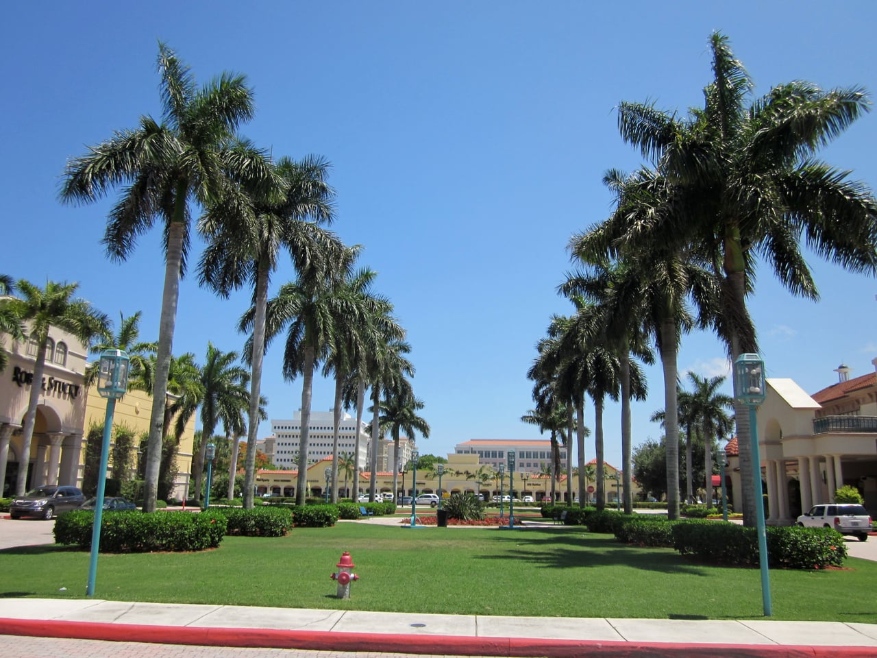 Mizner Park palms in Boca Raton